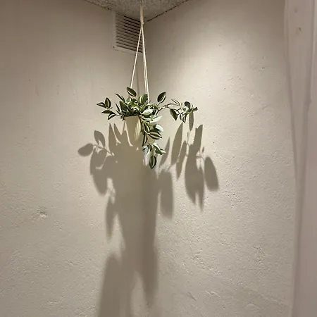 Mini 4 - Taet Pa Legoland Og Lego House * Billund